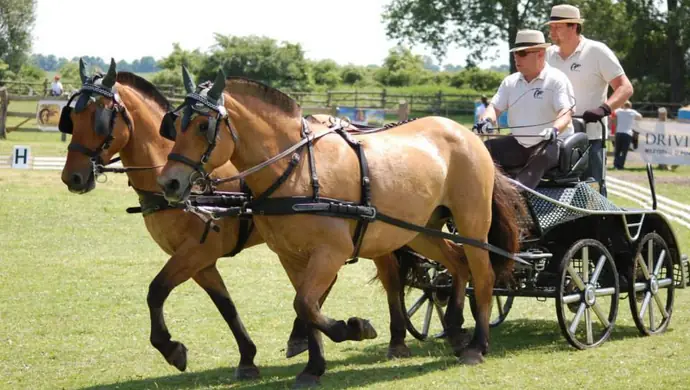 Rośnie forma zawodników z SKJ
