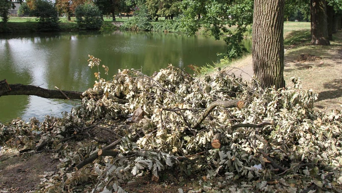 Wschowa kończy się za pierwszym stawem