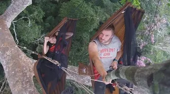 Twórcze Horyzonty: Spadamy na drzewo