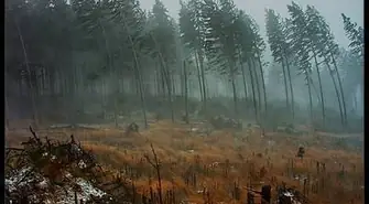 Szacują straty po wczorajszej wichurze