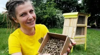 „Dni Pszczoły” w gminie Wschowa