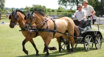 Rośnie forma zawodników z SKJ