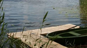 Raport na temat stanu środowiska w powiecie