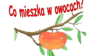 Biblioteka ogłasza konkurs