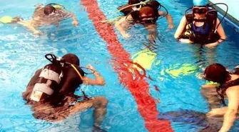 Zawody pływackie i pokaz nurkowania