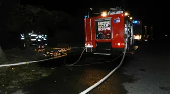 Stare Drzewce: Trzy osoby nie żyją