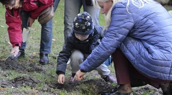 Krokusy dla Żłóbka