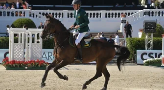 Mistrz z Krzepielowa