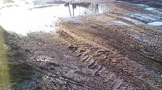 Mieszkańcy Osowej Sieni skarżą się na drogę prowadzącą na cmentarz