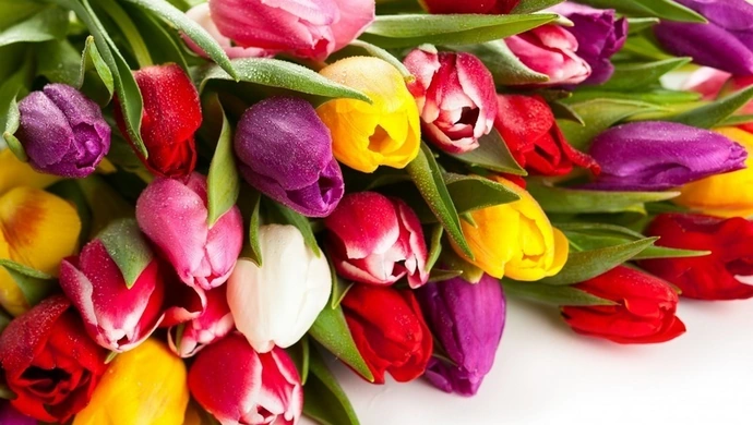 Życzenia dla Pań z okazji Dnia Kobiet