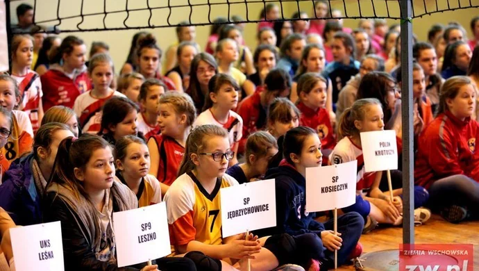 Ruszył Virtus Volley Cup 12