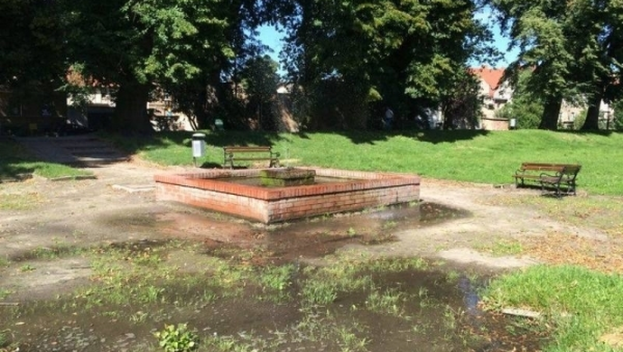 Nowy staw we Wschowie?