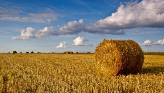 Wijewo: Szkolenie dla rolników