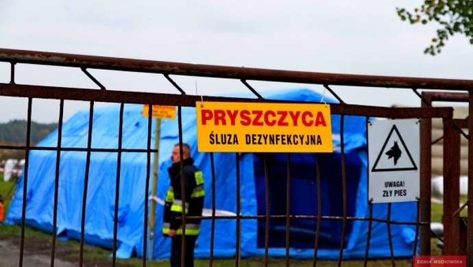 Ćwiczenia symulacyjne: Zwalczanie pryszczycy ze szczególnym uwzględnieniem bioasekuracji