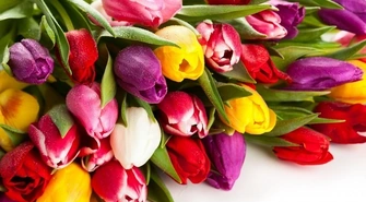 Życzenia dla Pań z okazji Dnia Kobiet