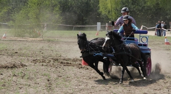 Zawody w powożeniu zaprzęgami