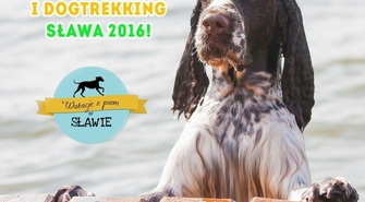 Przystanią SKŻ zawładną czworonogi