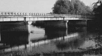 Waldemar Starosta: Mamy przepiękne tereny w Szlichtyngowej. Przykładem ujście Baryczy do Odry