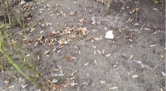 Czytelnik: Potem będzie krzyk, że miasto brudne, ale sami je sobie zaśmiecamy