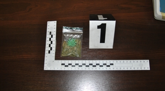 Trafił do aresztu za posiadanie marihuany