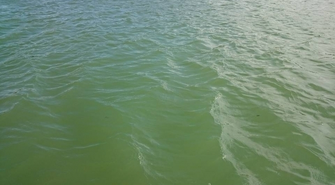 Niepokojące wiadomości ze Sławy. Zakaz kąpieli w Jeziorze Sławskim. Czekamy na wyniki badań