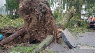 Strażacy wciąż walczą ze skutkami wichury, prądu może nie być przez kilka dni