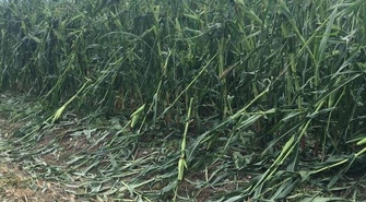 Sława: Do 17 października można składać wnioski o oszacowanie strat po huraganie