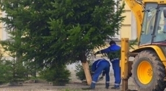 Choinkę przed wschowskim ratuszem można ozdobić w nocy