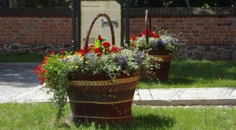 Spółka wygrała przetarg na pielęgnację zieleni miejskiej w 2018 i 2019 roku