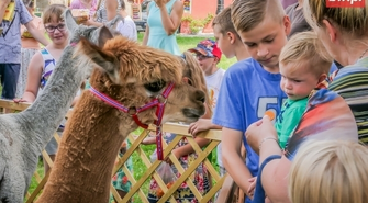 Finał tygodniowych zajęć