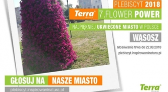 Wąsosz w plebiscycie na najpiękniej ukwiecone miasto 