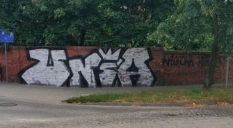 Niech upiększą w ten sposób swój dom