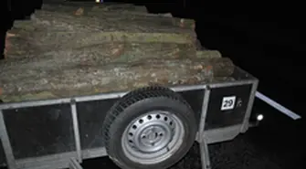 Kradli drewno z lasu, uciekali przed policją, posiadali narkotyki