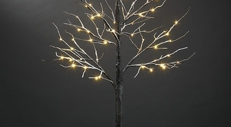 Jakie drzewko led wybrać na zewnątrz