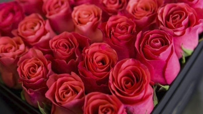 Wszystkiego najlepszego z okazji Dnia Kobiet