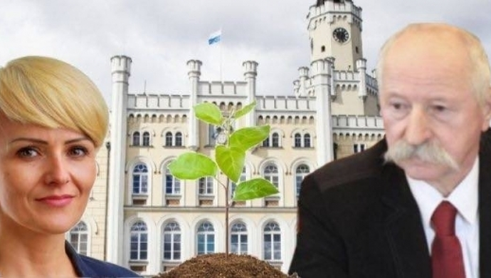 Zgłoś się do urzędu i posadź drzewo?