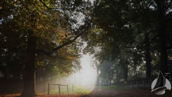 Wyłączenie użytkowania z powodu budowy