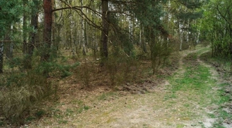 Informacja o ogłoszeniu przetargu ustnego na dzierżawę nieruchomości w obrębie Kuźnicy Głogowskiej