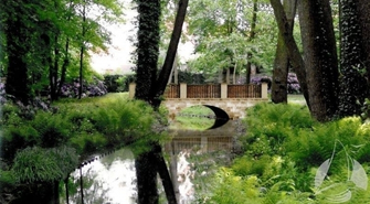 Dalszy ciąg prac w sławskim parku