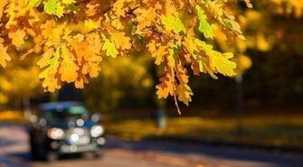 Wyjeżdżasz na święta? Już teraz zadbaj o bezpieczeństwo własne i najbliższych