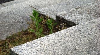 Zalety i wady schodów granitowych