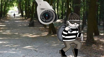 Kradzież kamer w parku miejskim