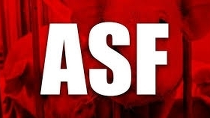 ASF w gminie Wschowa i Szlichtyngowa