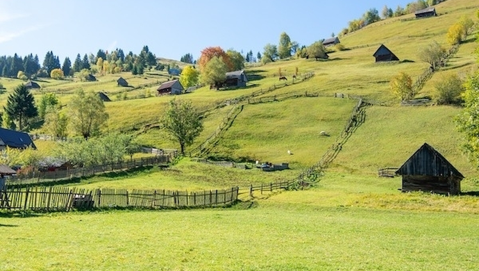  Podpowiadamy krok po kroku