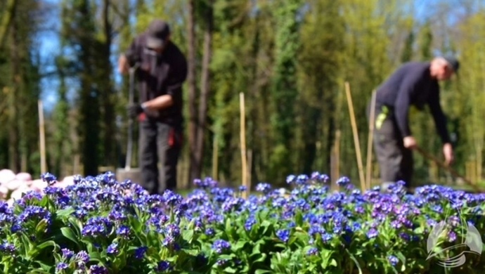  widać z każdym dniem