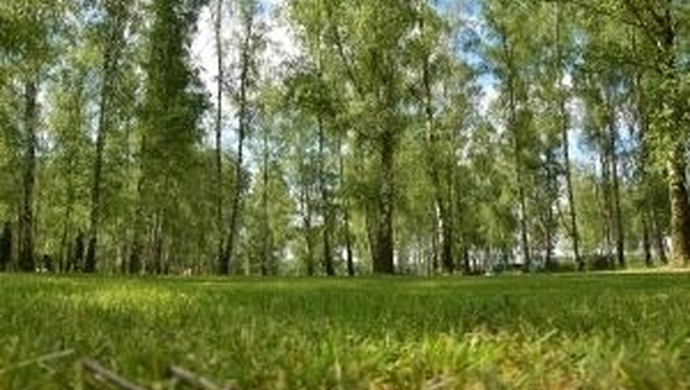 Zapraszamy na SCKiW