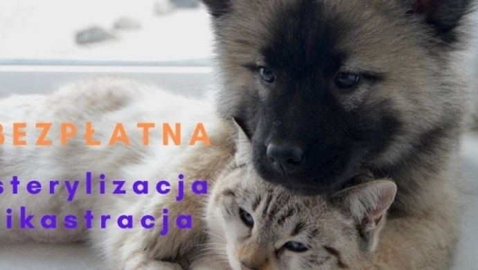 Bezpłatna sterylizacja i kastracja psów i kotów