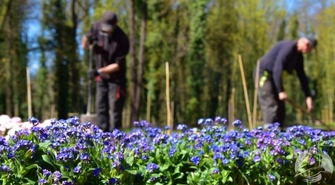 widać z każdym dniem