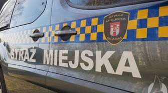 Strażnicy wracają do UM