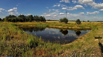 Ile stawów jest we Wschowie? [FOTOREPORTAŻ]